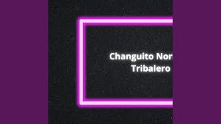 Changuito Norteño Tribalero [upl. by Duester]