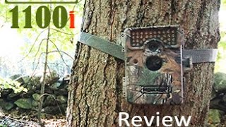 Moultrie 1100i Trail Camera 2014 Review Results [upl. by Thanos]