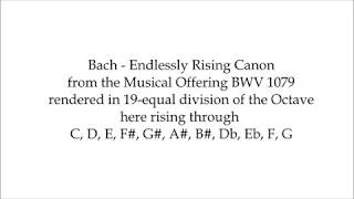 Bach Neverending Canon 19edo Organ C to G c Claudi Meneghin LoC claim SRu 1345269 [upl. by Abigail]