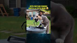 SASY LA CHIHUAHUA CORRE PELIGRO🥲 chihuahua perros mascotas animales perroabandonado [upl. by Ernst]