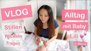 ALLTAG MIT BABY 2 WOCHEN ALT  STILLEN WICKELN TRAGEN  FAMILIEN VLOG  Mamiseelen [upl. by Cormier]