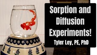 Sorption and Diffusion Experiments [upl. by Gnouhk]