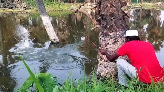 Catching fish with hook  amazing catch fishing videos  fish hunting videos [upl. by Angadreme]