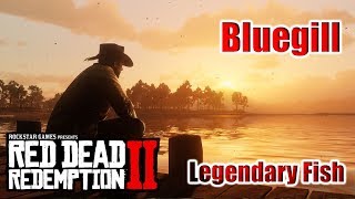 RDR2  Legendary Bluegill  Legendary Fish 01  Türkçe – Red Dead Redemption 2  Tayperyum [upl. by Richers]