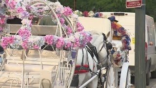 Committee advances ban on horsedrawn carriages to City Council [upl. by Eellek371]