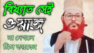 ঐতিহাসিক সেই ওয়াজ  Allama Delwar Hussain Saidi [upl. by Notsew687]