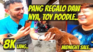 PERSIAN GUY NAKABILI NG MURANG POODLE MIDNIGHT SALE ULI [upl. by Aihsekat]