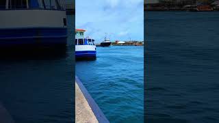 Its always a moment of awe to see vessels enter the Sint Anna Bay🚢🔁 📍Sint Anna Bay [upl. by Natam]