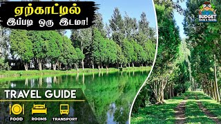 ஏற்காட்டில் இப்படி ஒரு இடமா yercaud  yercaud hidden tourist places in tamil  yercaud salem [upl. by Wightman]