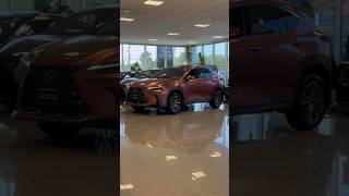 2025 Lexus NX 250  Lexus of Monmouth shorts [upl. by Saravat]