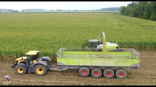 Eastside Dairy Corn Silage Harvest 2020 [upl. by Nolat]