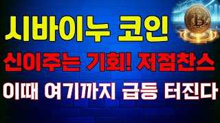 시바이누코인 💥신이주는 기회 과매도 저점매수찬스 이때 여기까지 급등 터진다 시바이누 코인 전망 시황 호재 목표가 대응 차트 분석징기스칸 코인방송 실시간 [upl. by Zebedee]