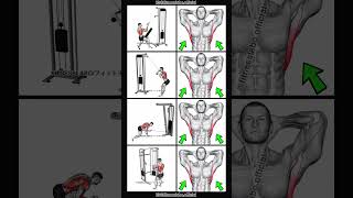 How to train lats [upl. by Atnad]