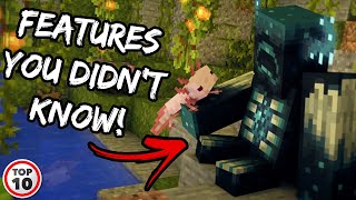 Top 10 Minecraft 1 17 Features You Didnt Know About [upl. by Nawj324]