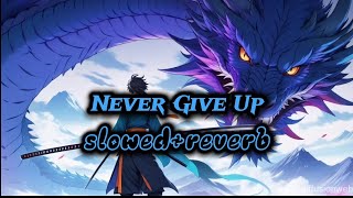 Never Give Up slowedreverb  Lofi Song [upl. by Shayla]