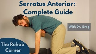 Serratus Anterior  A Complete Guide [upl. by Ninehc536]