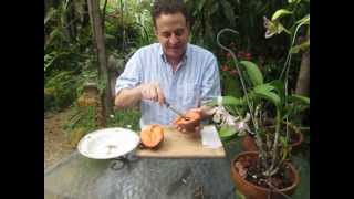 Mamey Sapote [upl. by Eirrehc]