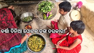 ବର୍ଷା ଦିନିଆ ପୋଟଳ ଡଙ୍କ ତରକାରୀ l Potala Danka Recipe [upl. by Fleisig]