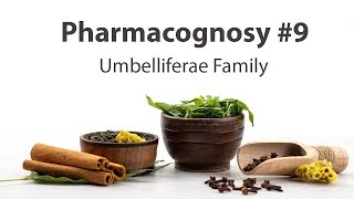 9 Umbelliferae Family  Pharmacognosy [upl. by Ejroj]