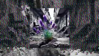 CAPITAL BRA – LAVENDEL Visualizer Prod M61 JYDN [upl. by Alphonsine]