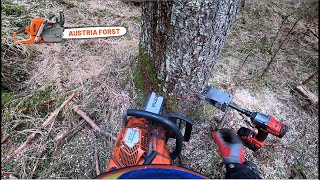 Holzfällen mit Husqvarna 572 XP BR 24AQ Schlagschrauber keil [upl. by Frederique]