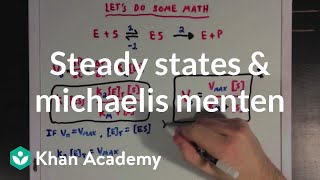 Steady states and the Michaelis Menten equation  Biomolecules  MCAT  Khan Academy [upl. by Aitselec]