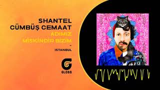 Shantel amp Cümbüş Cemaat  Adımız Miskindir Bizim İstanbul [upl. by Noedig259]