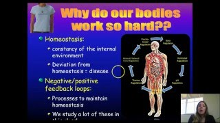 General Biology Intro to AampP I amp Homeostasis [upl. by Attekram]