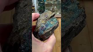 Permineralized Petrified Wood w Rainbow Marcasite from Turkey crystals crystalshop [upl. by Marty]