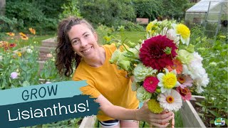 Why YOU Must Grow Lisianthus A Hobby Growers POV on This GORGEOUS Cut Flower Zone 6A cutflowers [upl. by Loretta]