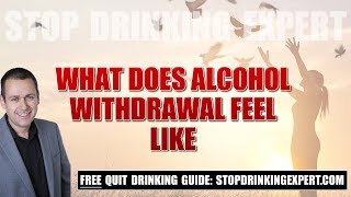 What does alcohol withdrawal feel like [upl. by Reehsab]