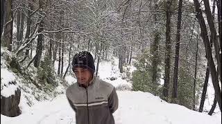 Snowfall in Kashmir azadkashmirtourism nature disputedterritory love travel snow snowfall [upl. by Ominorej]