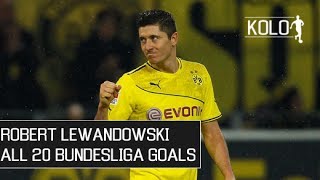 Robert Lewandowski ● All 20 Bundesliga Goals ● 201314 HD [upl. by Iew994]