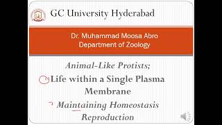 Protozoa Life within a Single Plasma Membrane Maintaining Homeostasis and Reproduction [upl. by Aniz]