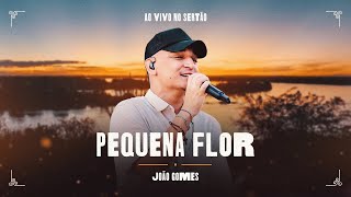 PEQUENA FLOR  João Gomes Ao Vivo no Sertão [upl. by Tacy282]