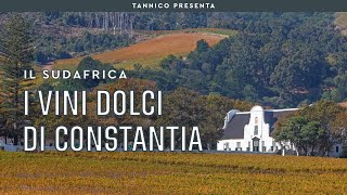 I vini dolci di Constantia  Tannico Flying School [upl. by Levison]