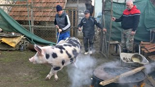 POSJEK NA SOKOCU [upl. by Oakie]