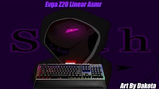 EVGA Z20 Linear ASMR [upl. by Lilybelle]