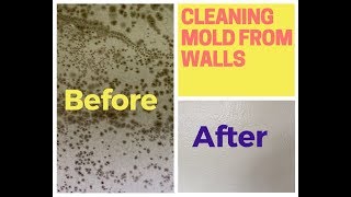 How To Remove Mold From Walls Drywall [upl. by Pollux]