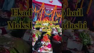 Ekadashi kab hail Mokshada ekadashi kab hailshorts shortvideo mokshdaekadashi ekadashi 🙏🌺🙏🌺🙏🌺🙏🌺 [upl. by Aneelad]