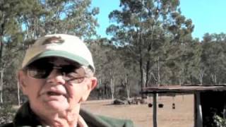 Bob Irwin on The Fraser Island Dingo [upl. by Sirrad539]