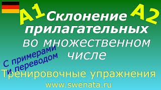 A1A2 Склонение прилагательных во множественном числе в упражнениях [upl. by Hunter]