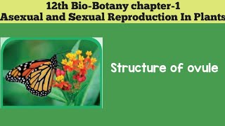 12th biobotany chapter1 Asexual And Sexual Reproduction In Plants STRUCTURE OF OVULE [upl. by Australia]