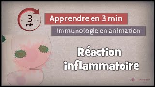 41◽ La réponse inflammatoire I [upl. by Burdett447]