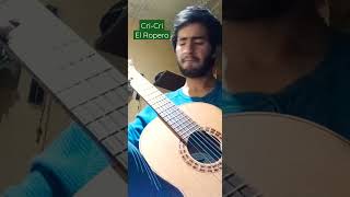 CriCri el ropero cover fingerstyle [upl. by Oneida475]