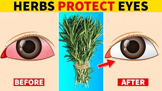 7 Herbs That Protect Eyes and Repair Vision [upl. by Braswell]