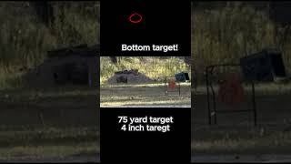 Cheap Feyachi red dot is super accurate america 2ndamendment targetshooting [upl. by Namra]