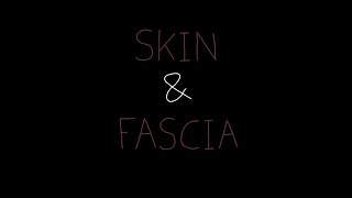 Skin and Fascia  Anatomy [upl. by Leina894]