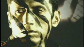 Aterciopelados  Hijos de Tigre Official Music Video [upl. by Annawyt]