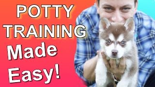 How to Potty Train your Puppy EASILY Everything you need to know [upl. by Ainoval]